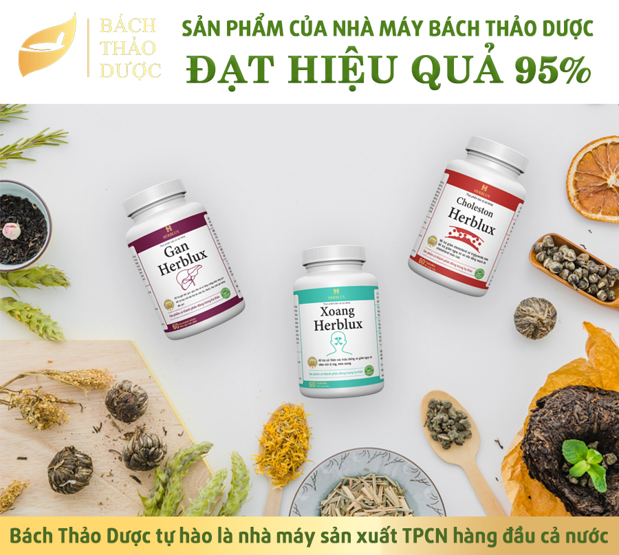THE PRODUCTS OF BACH THAO DUOC HAVE EFFICIENCY UP TO 95%